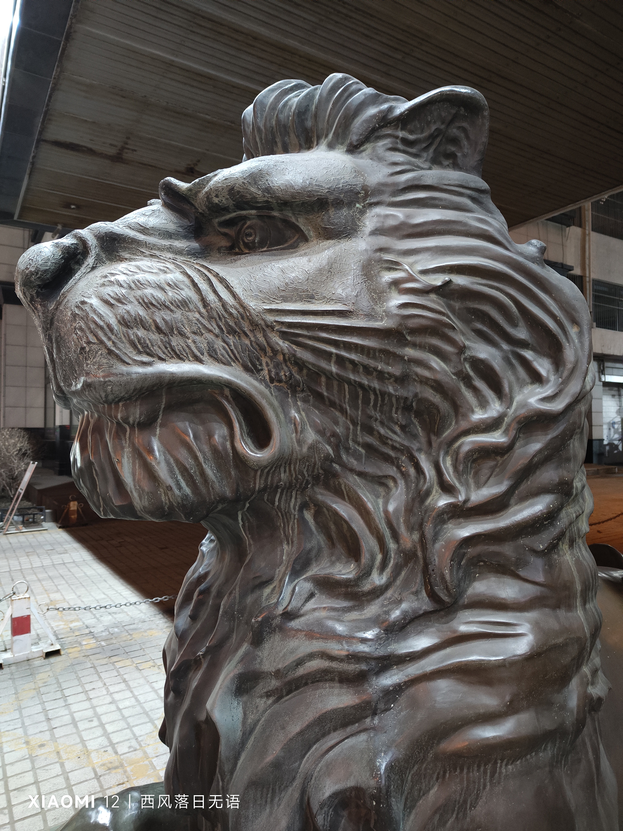 小米12哪个系列值得上手,小米12哪一款更值得入手