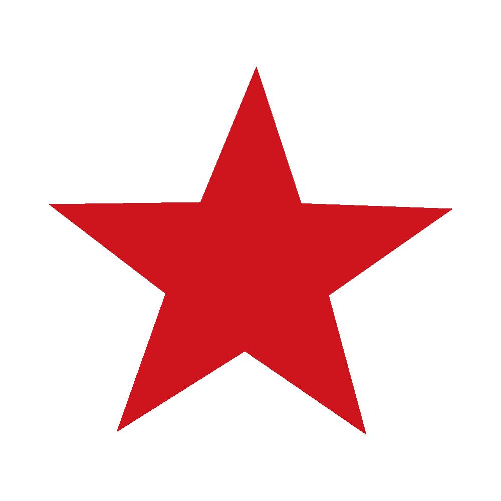 赓续五四薪火镌刻奋斗青春,五四薪火