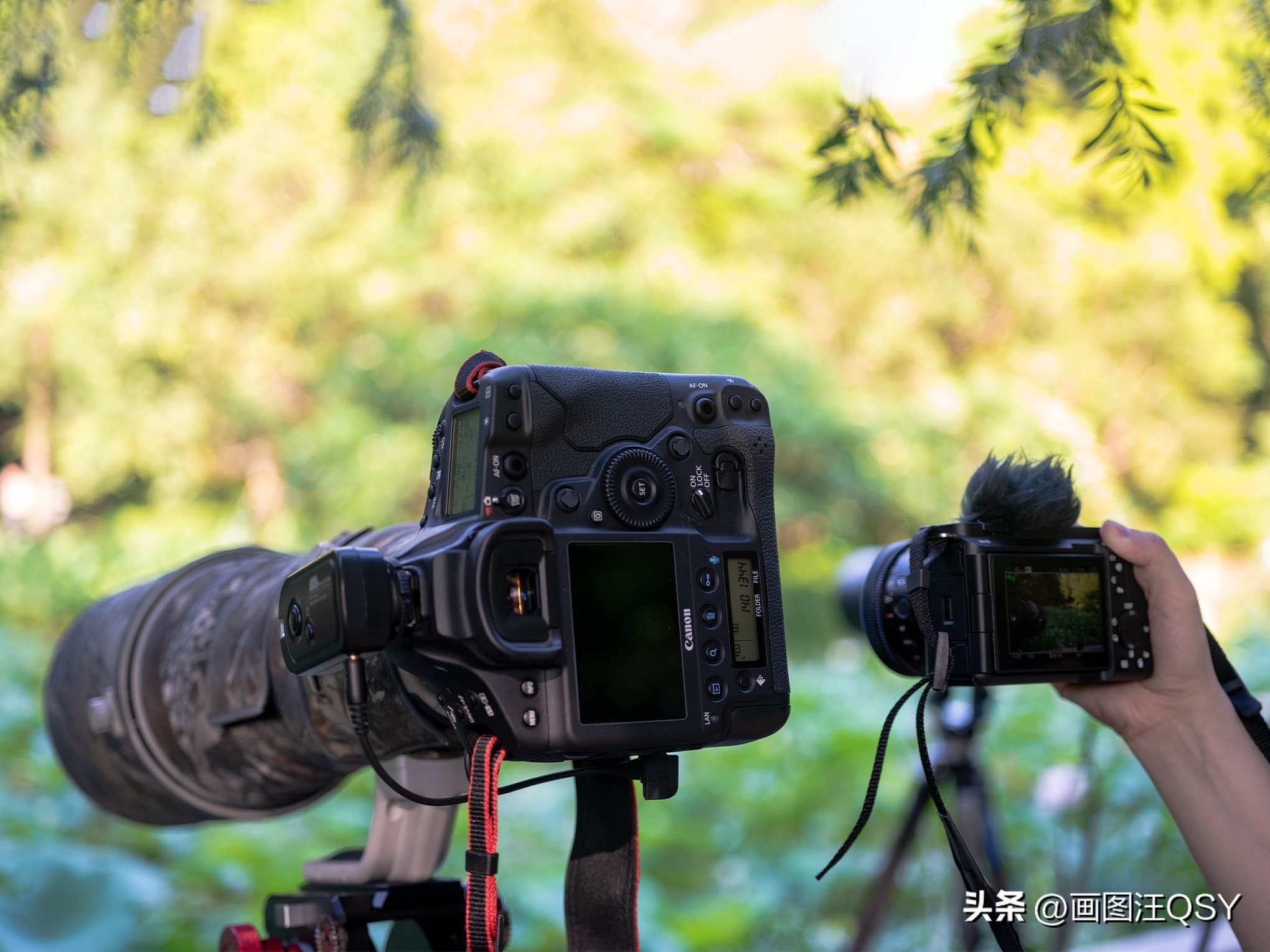 技术不够装备来凑，索尼ZV-E1真定位新手？Vlog初学者心得分享