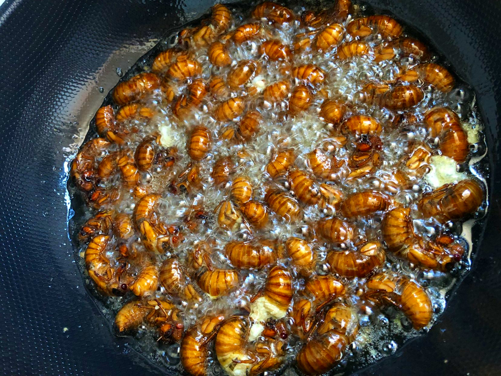 下酒菜黄瓜花生,下酒菜啤酒花生黄瓜