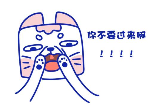如何观察自家猫的动态,家里的猫怎么知道它的寿命