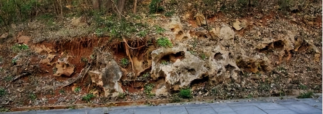 河边捡的哪些石头值得收藏,收藏精品石头