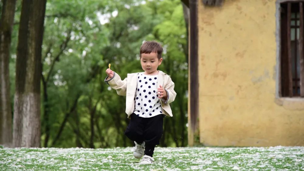 带娃出门游遇到蜱虫千万别乱拔,警惕这三种毒虫带娃出行必看