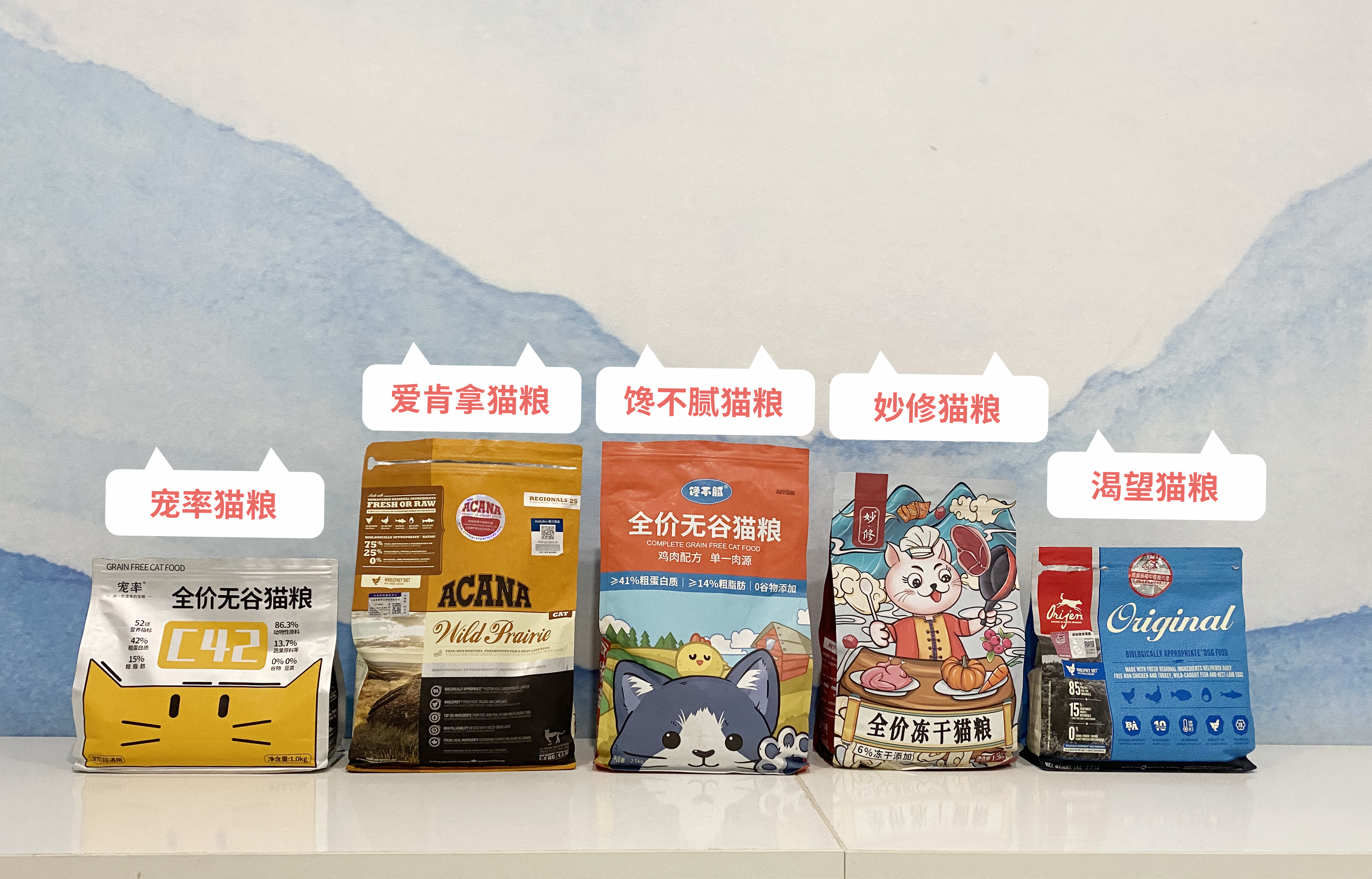 为什么缅因猫幼崽便宜很多,缅因猫为什么不建议养