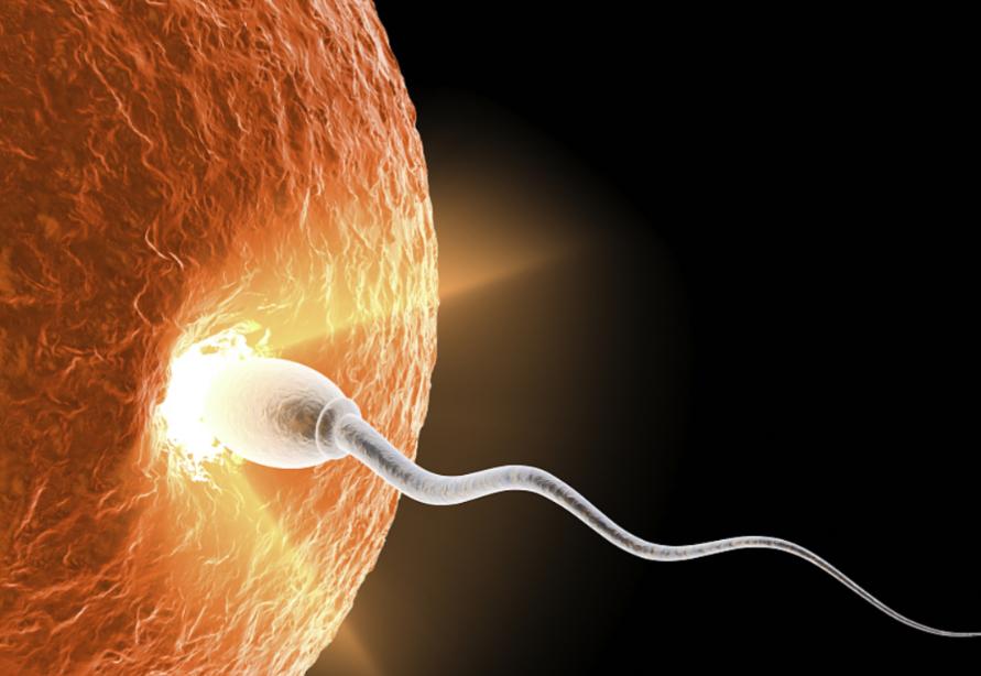 男性长期禁欲，精子只产不排，最后会怎样？医生：恐难逃3大结局