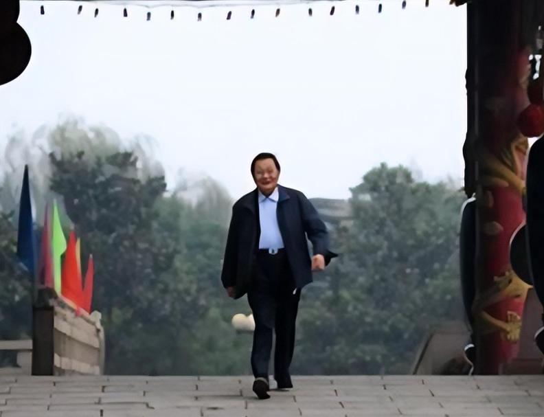 天下第一村华西村衰落的原因,华西集团和华西村