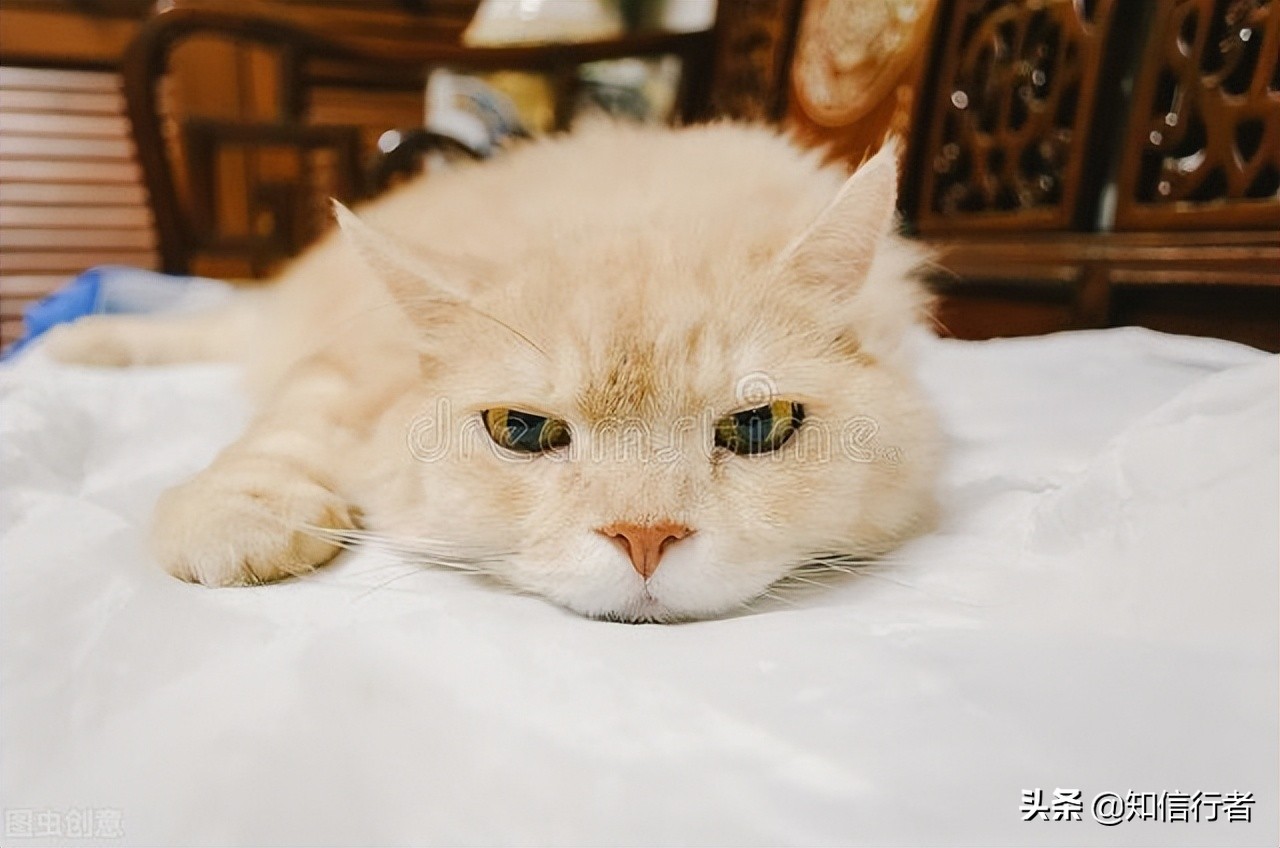 如何克服思维懒惰的恶性循环,逆向思维教育懒惰的人