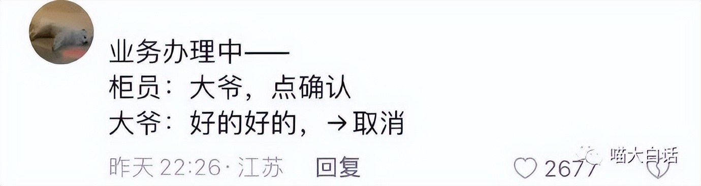 “来姨妈被不认识的萨摩耶钻裆？”哈哈哈哈哈画面过于社死了！