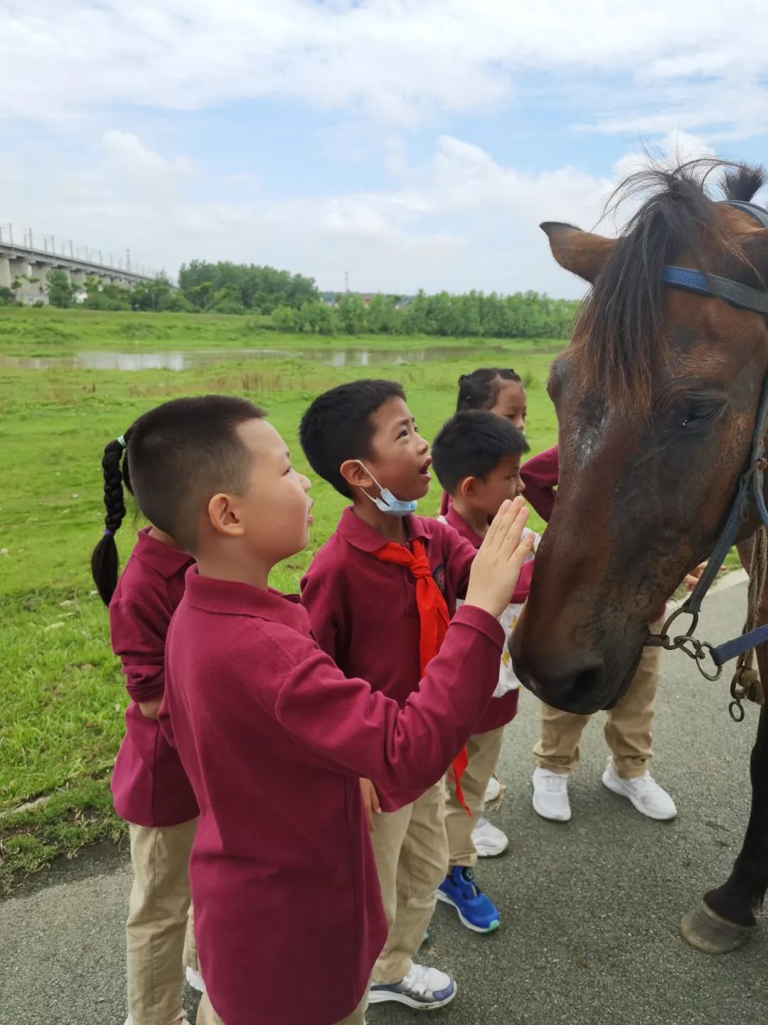 宜昌25所学校,宜昌新学校有哪些