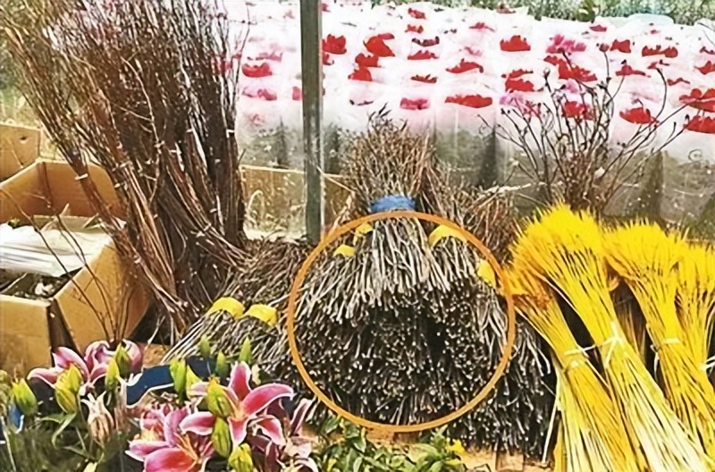 权威解读谣言粉碎机,谣言粉碎机