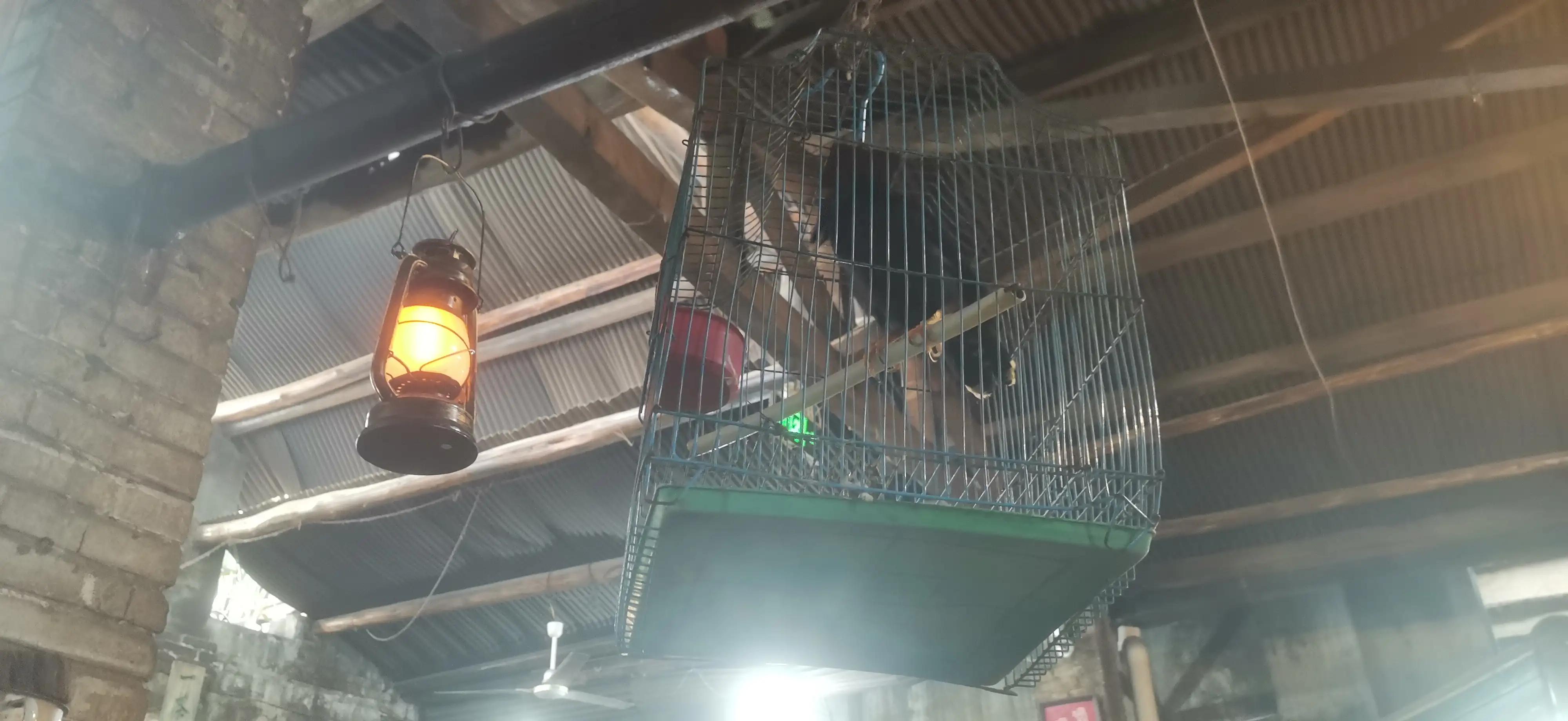 逛重庆车展,逛重庆