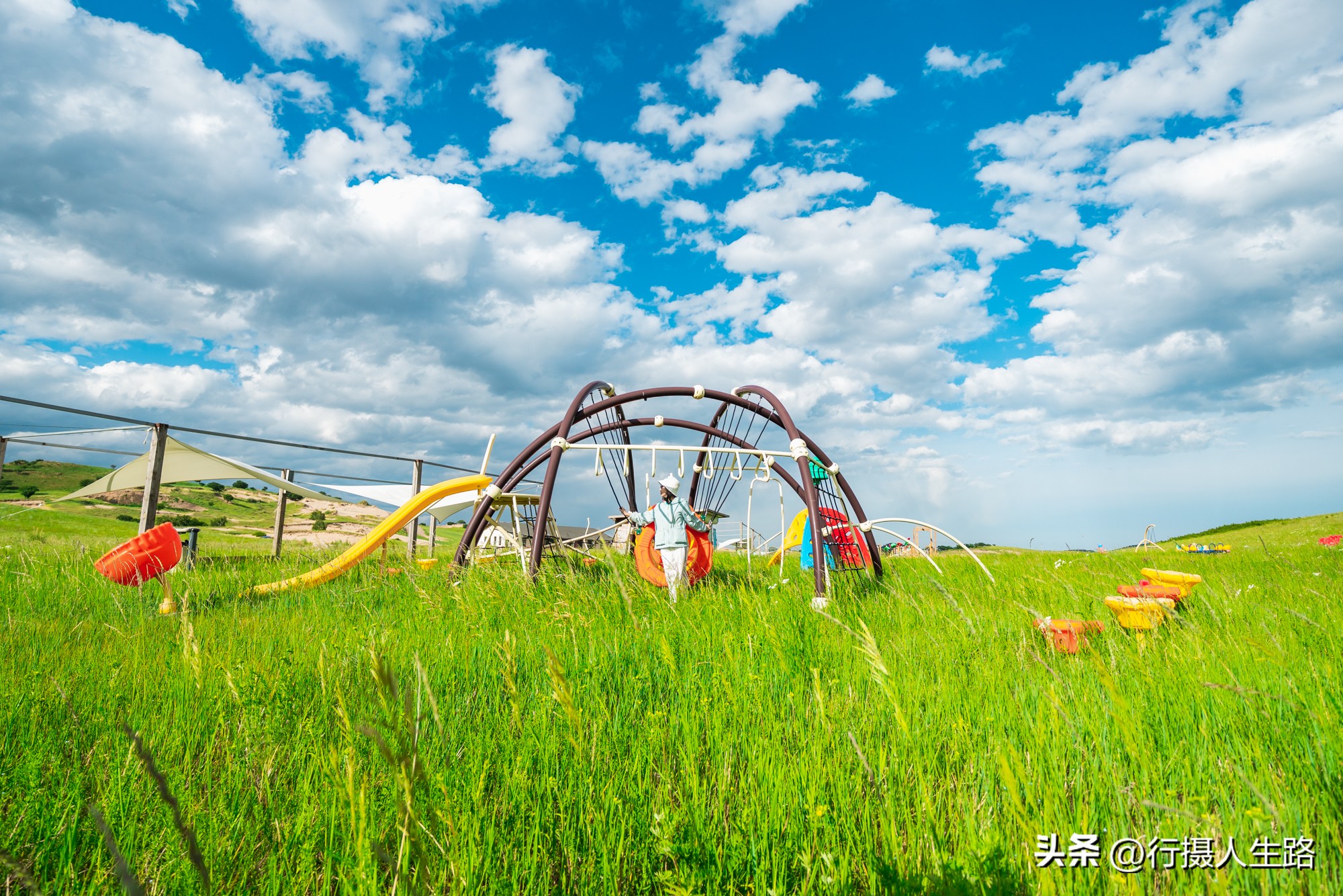 一路向北去黑龙江漠河,一路向北去寻找花海