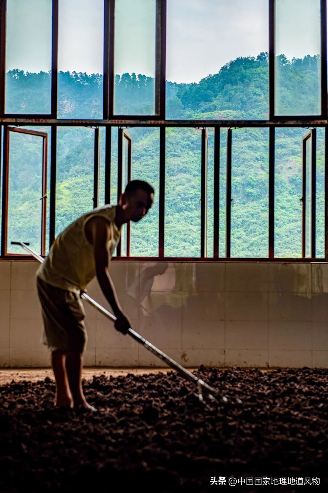 茅台酒的味道是香精调出来的吗,茅台酒的酱香是什么酱