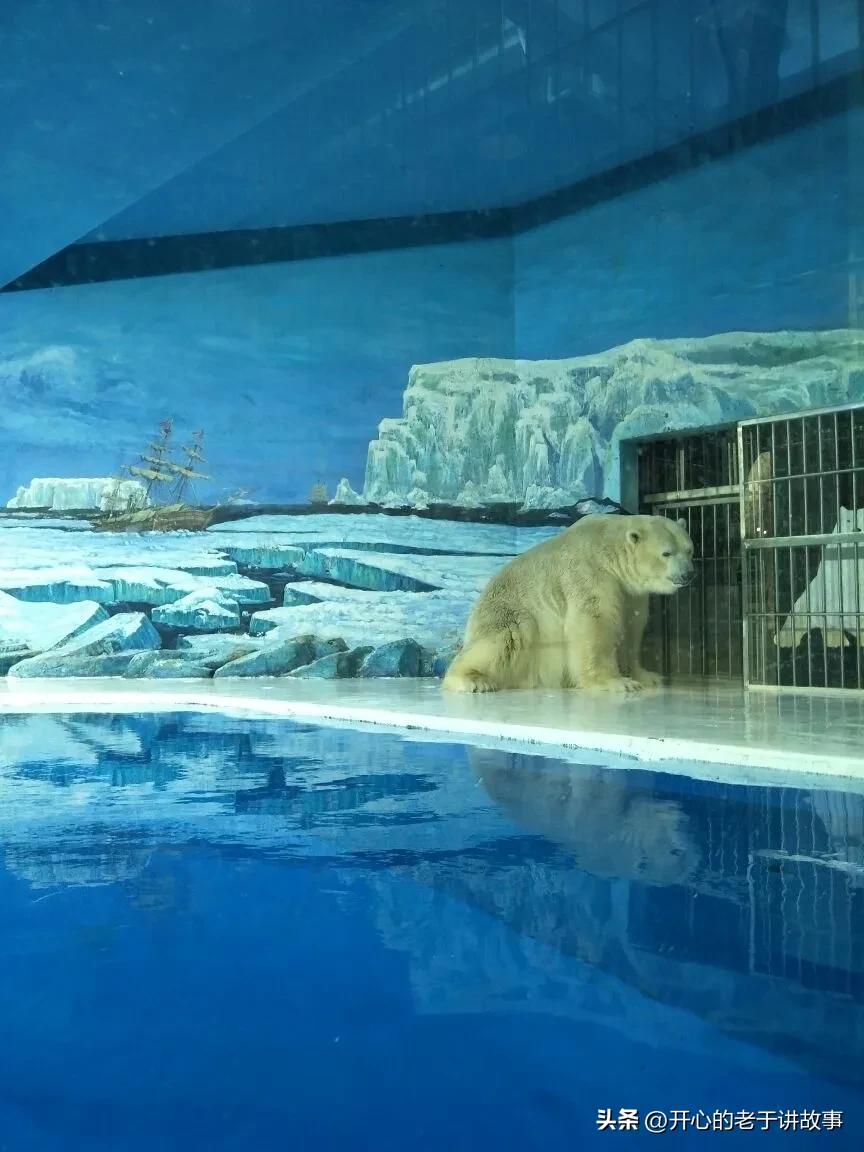 鍝堝皵婊ㄦ瀬鍦伴娓哥帺鏀荤暐,鍝堝皵婊ㄦ瀬鍦伴娴锋磱涔嬪績