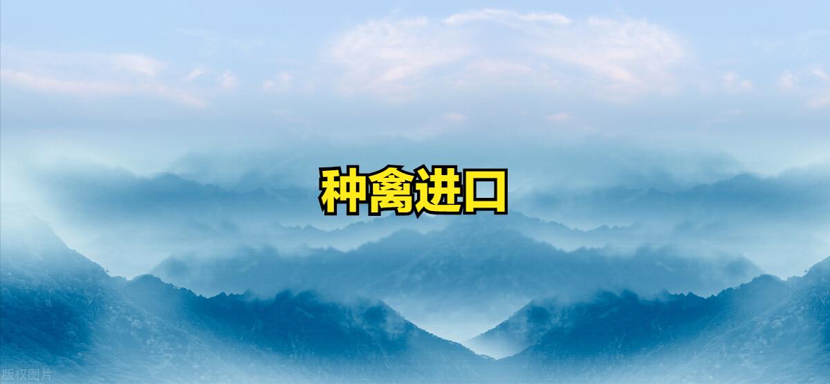 禽肉进口增长,2022中国进口禽肉总数