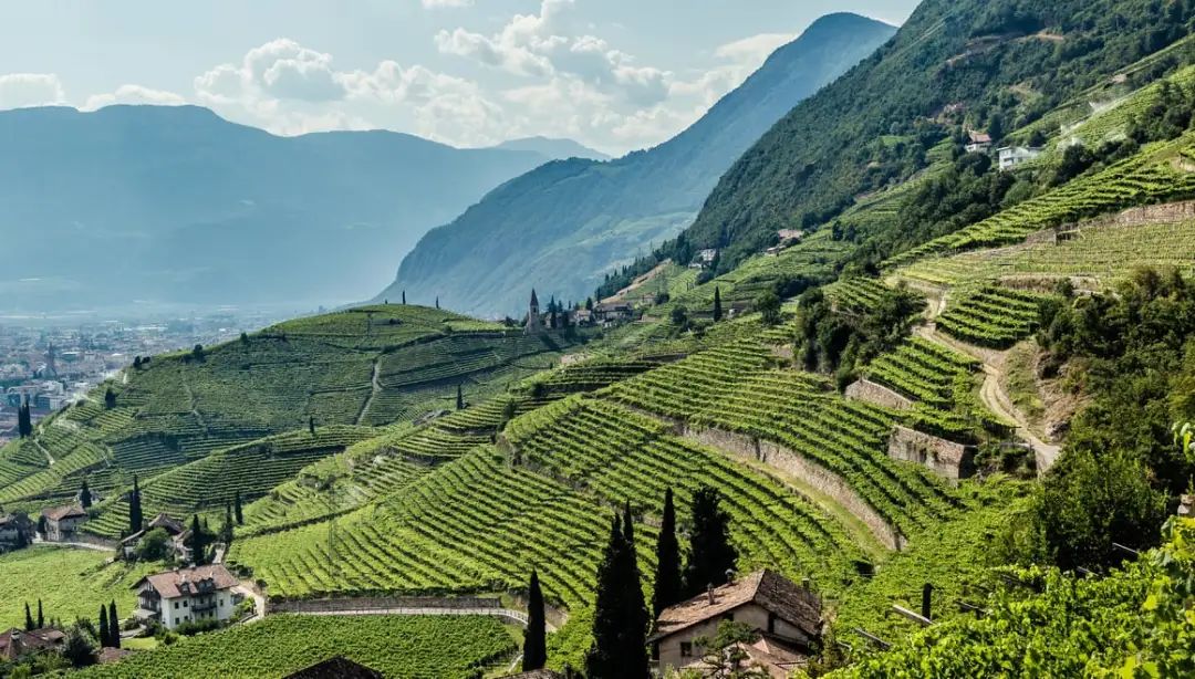 小众之美|AltoAdigeDOC上阿迪杰