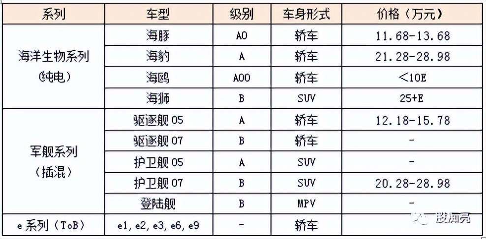 新能源汽车投资指南,比亚迪新能源汽车投资效率怎么写