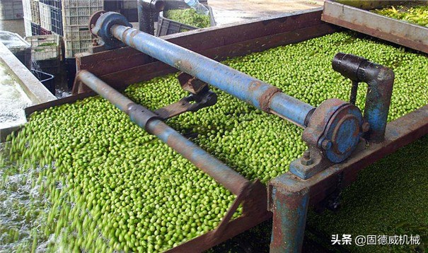 贵州豌豆淀粉加工,豌豆淀粉加工厂
