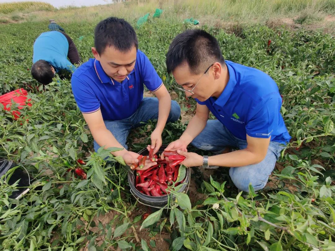 第六届中国农民丰收节,中国农民丰收节