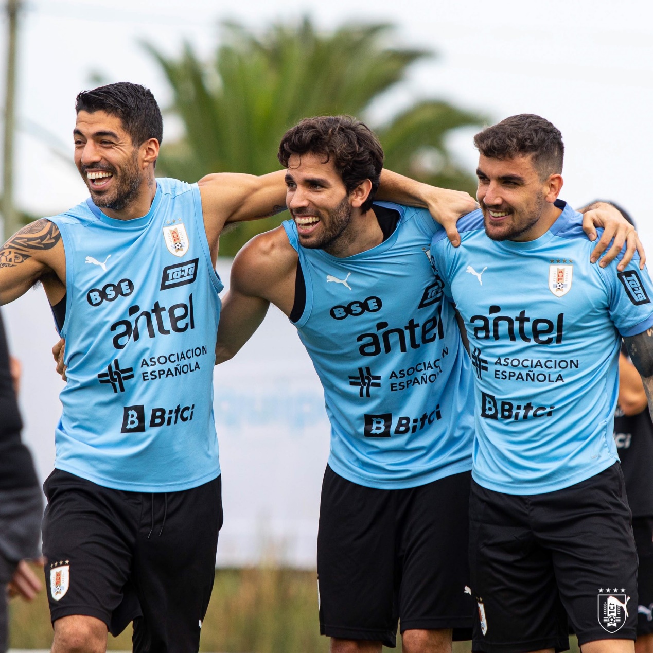 巴拉圭乌拉圭世预赛,世预赛巴拉圭最新战况