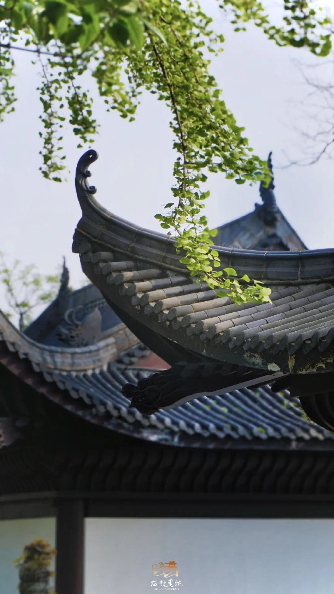 衡阳适合年轻人旅游的地方,衡阳适合年轻人玩的地方