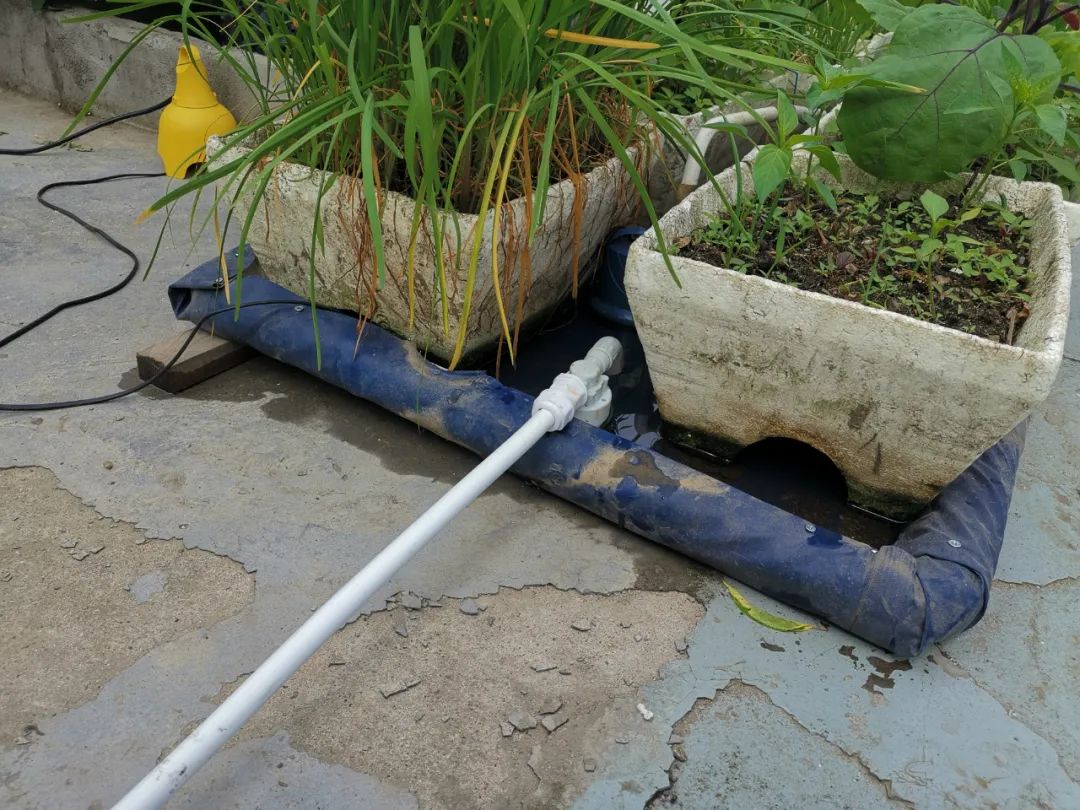 浅池二培,浅池厌氧