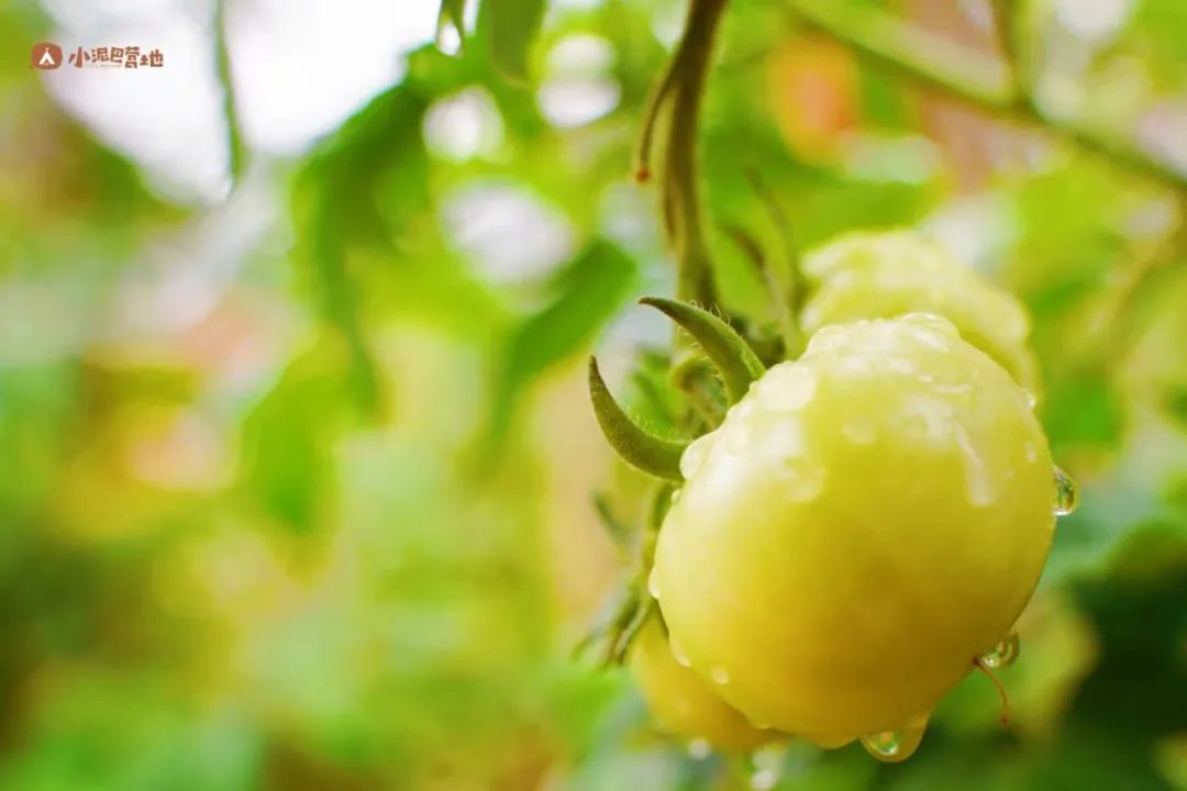 下雨天带小孩可以这样玩,下雨天可以带孩子去哪玩