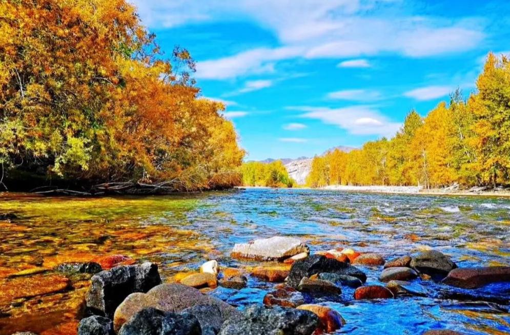 描写深秋景色的诗句古诗词,有关描写深秋的古诗词