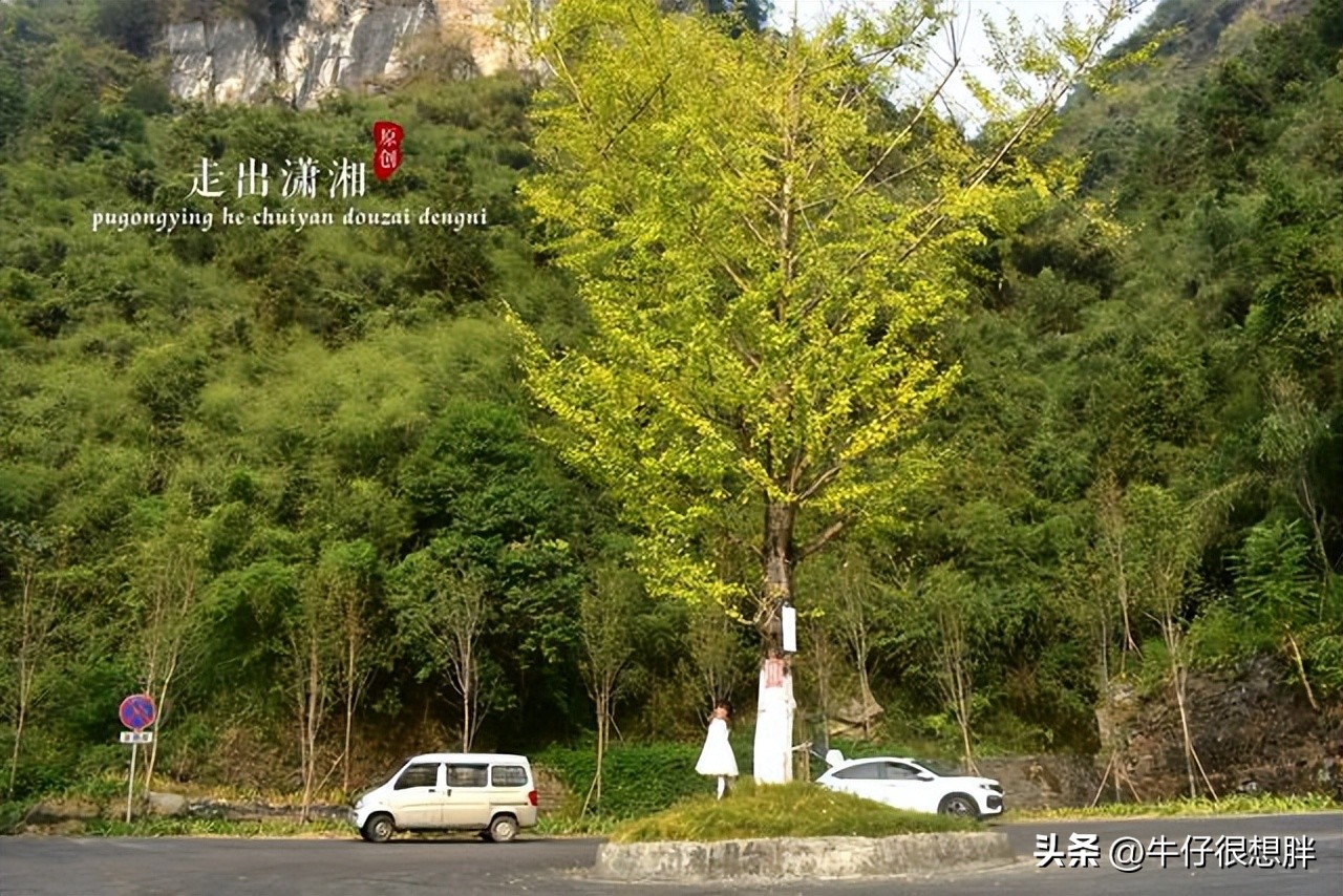 游玩湘西吉首矮寨奇观累吗,自驾游湘西矮寨奇观旅游景区