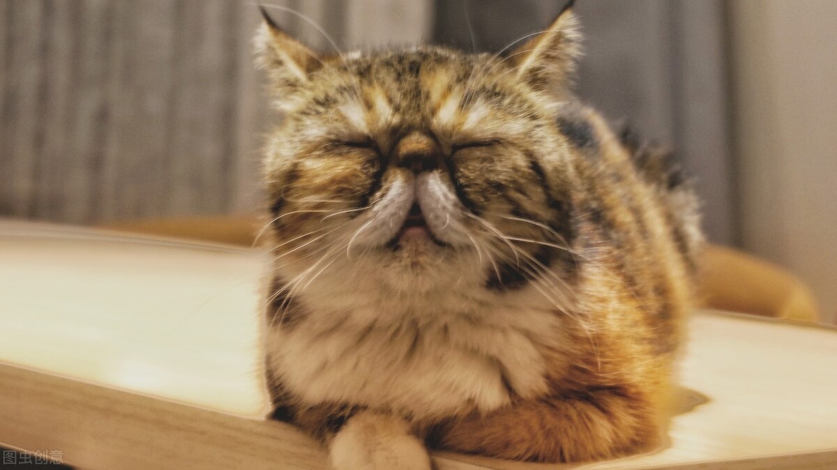 回忆杀8090经典影视,回忆杀盘点8090后网络神曲合集