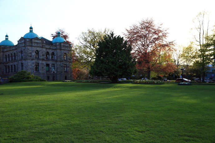 加拿大温哥华岛游记,温哥华维多利亚岛攻略