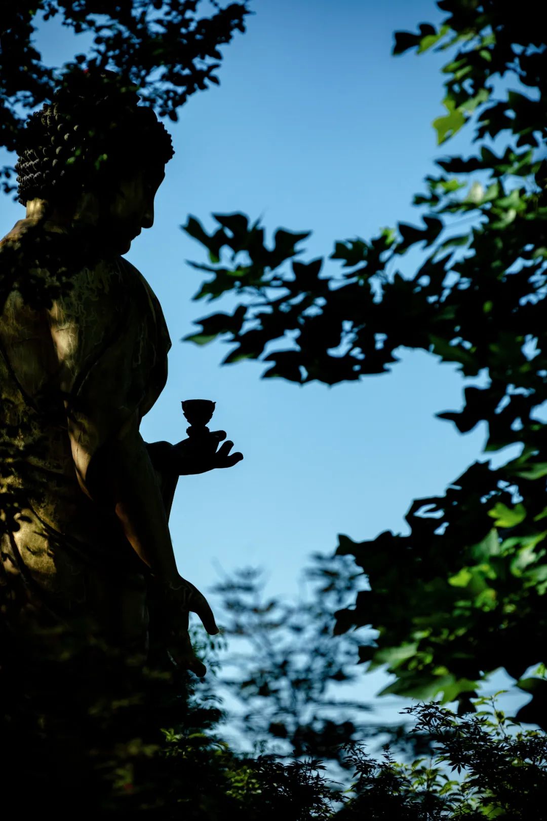 当诗遇到禅！17首诗词带您看遍与山水相依的四季