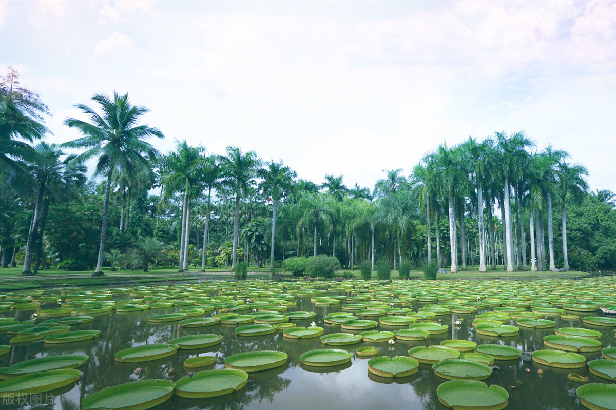 春节去云南哪里最好玩,云南春节人少旅游推荐