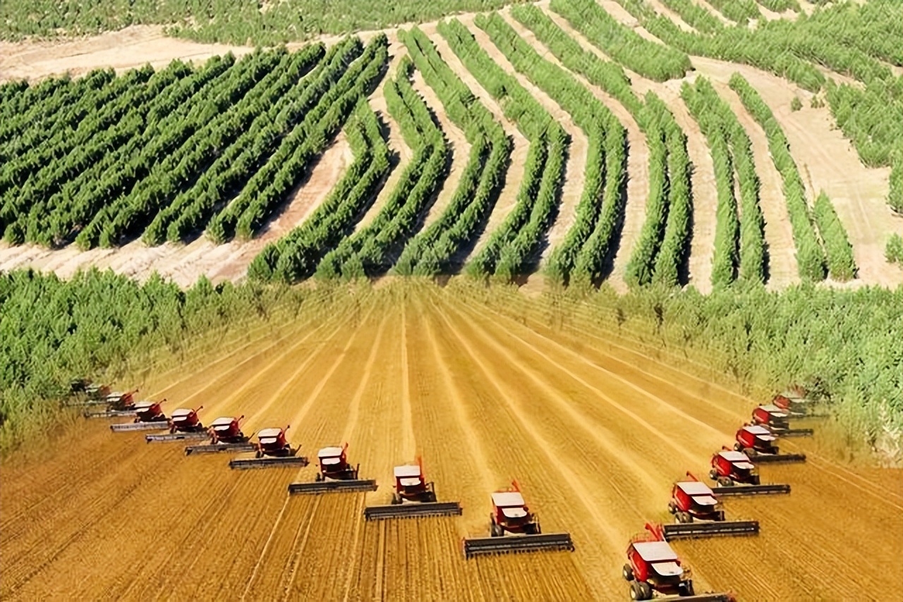 北大荒为什么要退耕还荒,北大荒退耕是什么时候