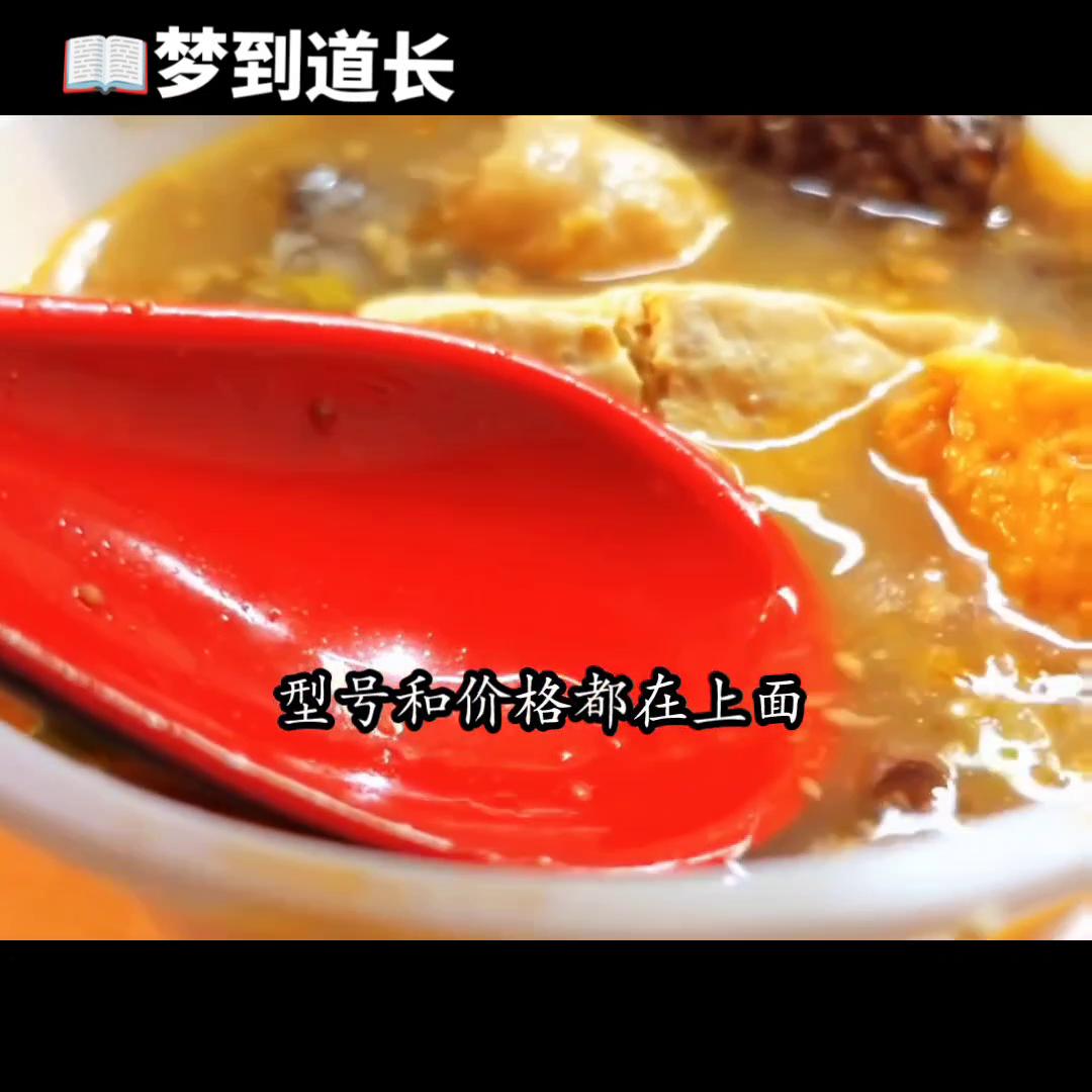 梦到张至顺道长,梦到修仙小说