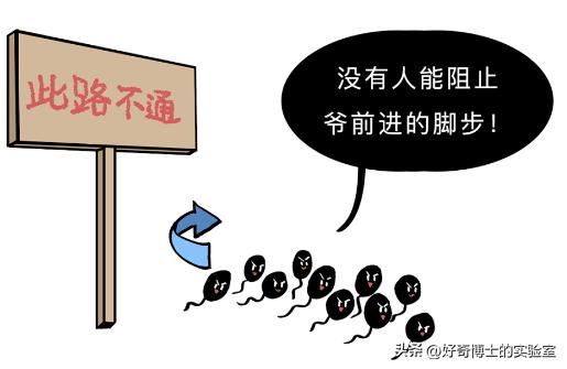 为了延长时间,同房时忍着不射有用吗?对身体会造成哪些影响?