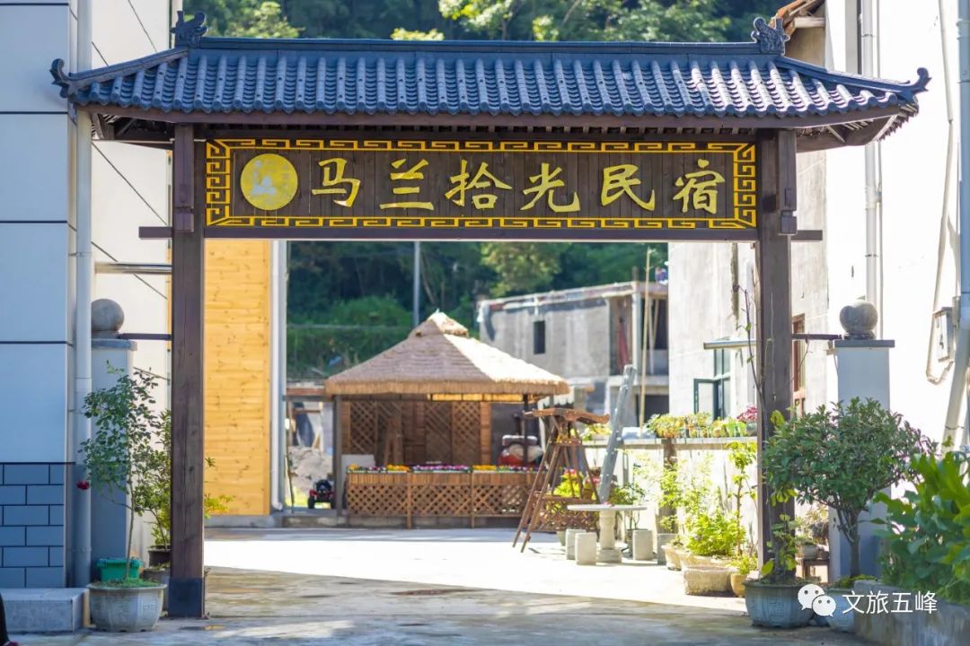 茶旅大会在五峰,五峰茶旅大会来了哪些人