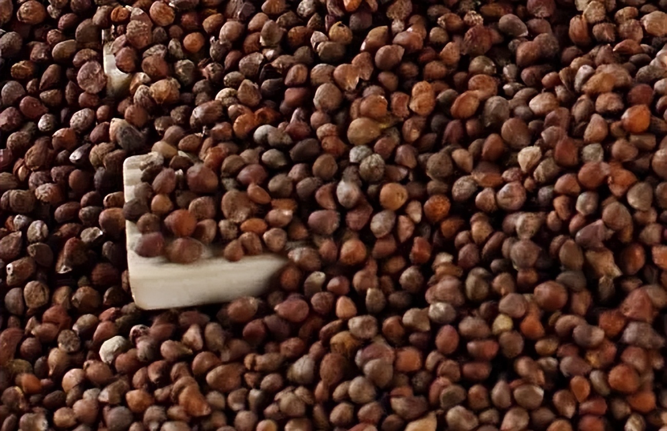 各种中药的功效大全,400种常用中药功效大全一览表