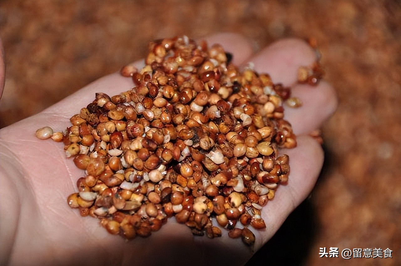 婚宴喝假酒五粮液,婚礼上五粮液被换成假酒