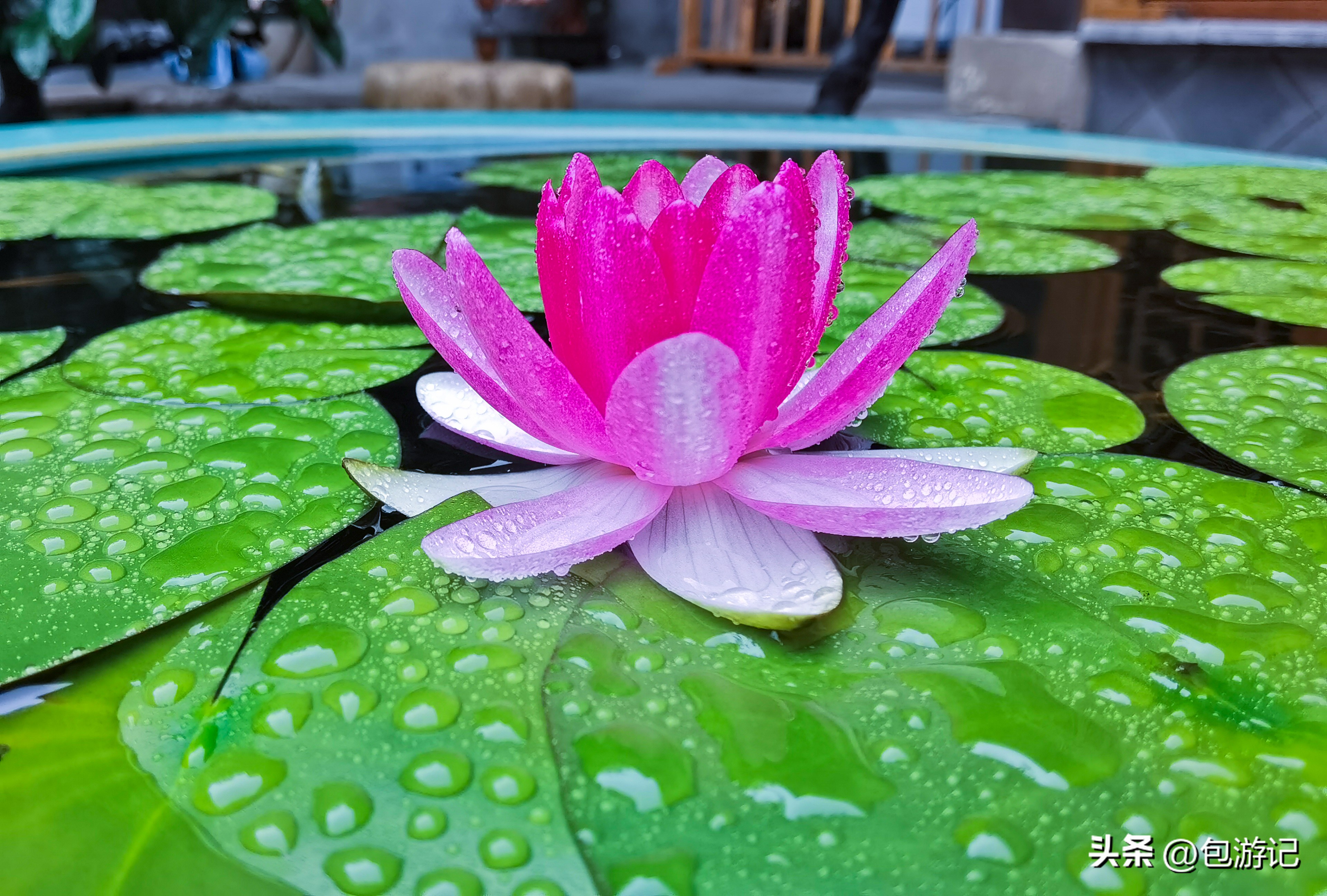 常州嘉泽古镇,常州嘉泽旅游