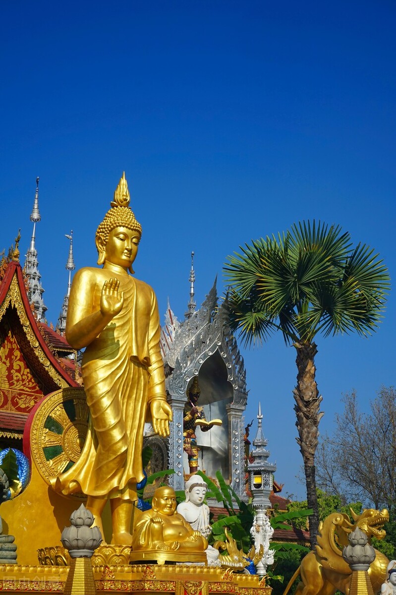 中国最具风情的养老胜地，北回归线上唯一的绿洲，不在乎春夏秋冬