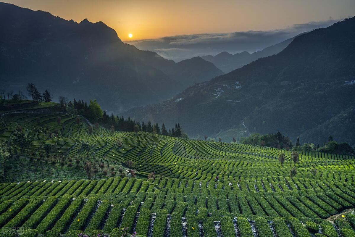 湖北有哪些特产？湖北有名的十大特产，快看看你的家乡入选了吗？