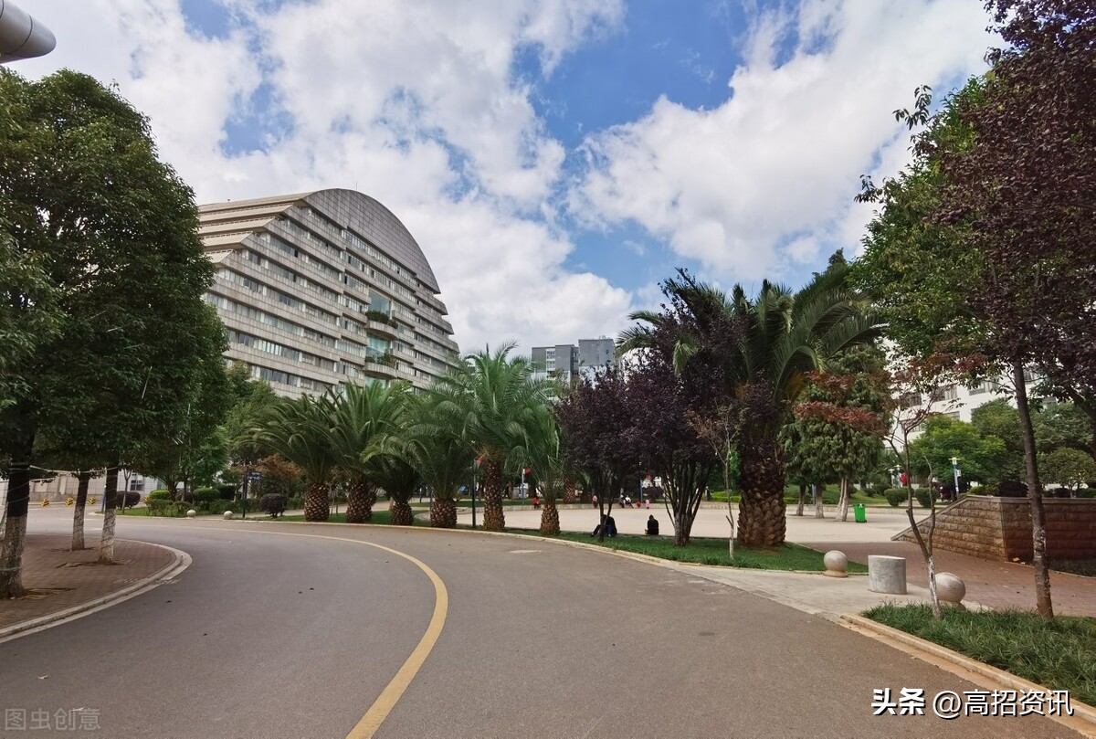 师范、电气、财经等10大热门行业“黄埔军校”及云南高校龙虎榜