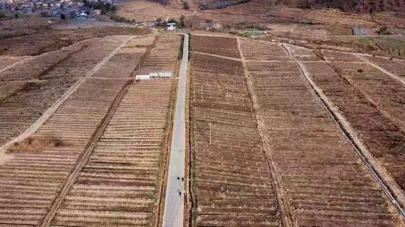 将乡村振兴规划变为美好现实,乡村振兴战略的美好愿景是哪些