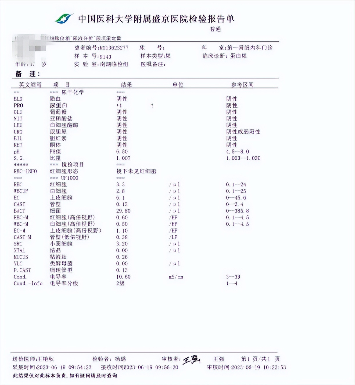 孕妇尿蛋白2个加号能顺产吗,双胎怀孕31周尿蛋白两个加号