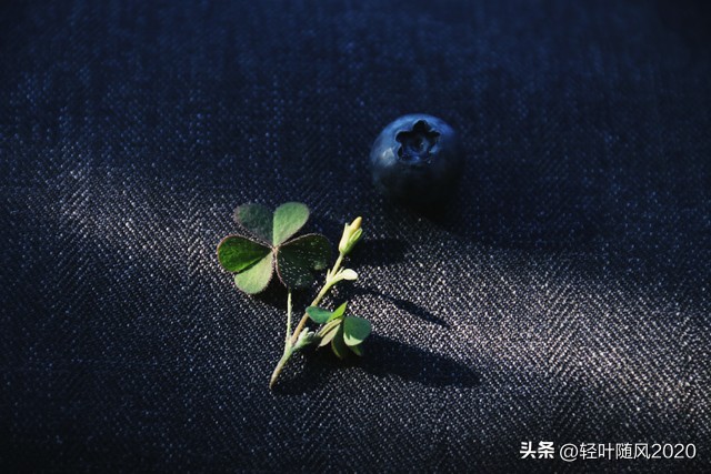 姥姥家那些颠覆三观的事儿,姥姥家那些颠覆三观的事儿结局