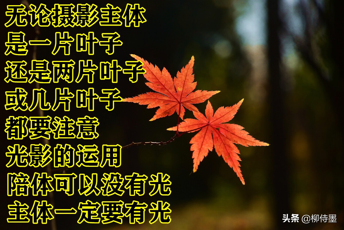 照片拍出来难看怎么修图,照片不能瞎拍