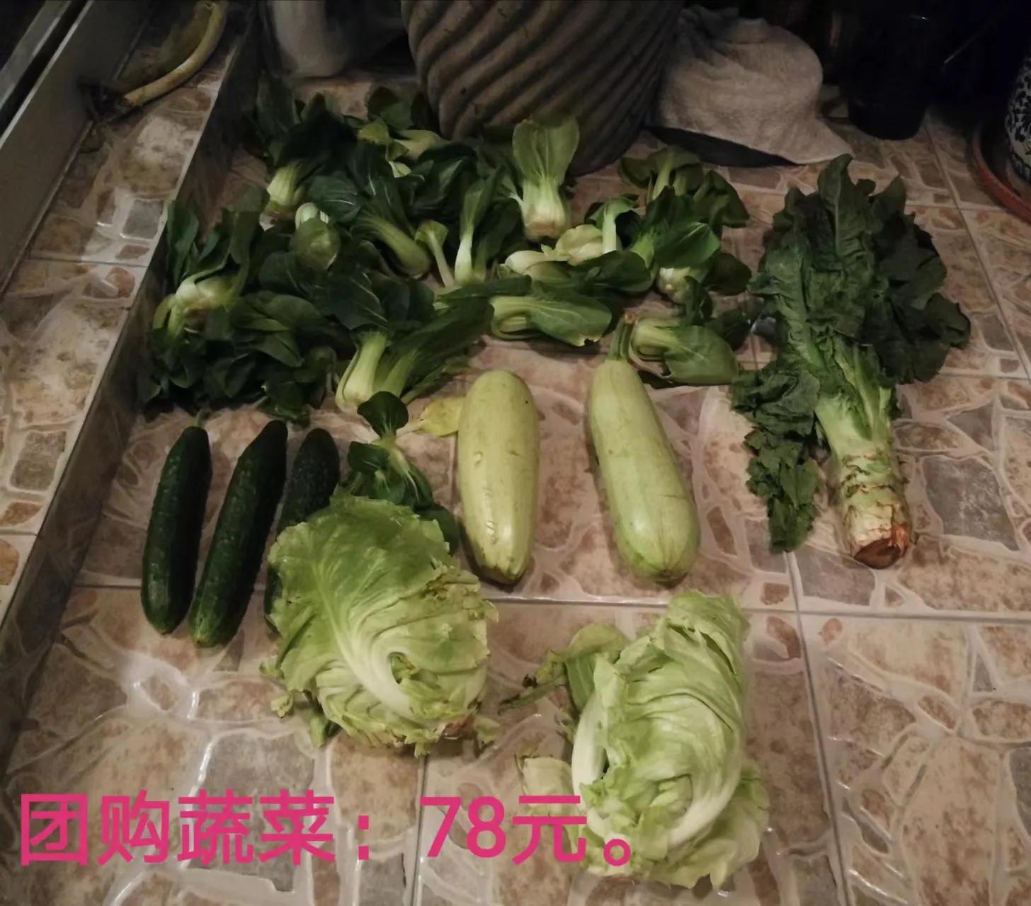 写在上海疫情封控一月之时(三)