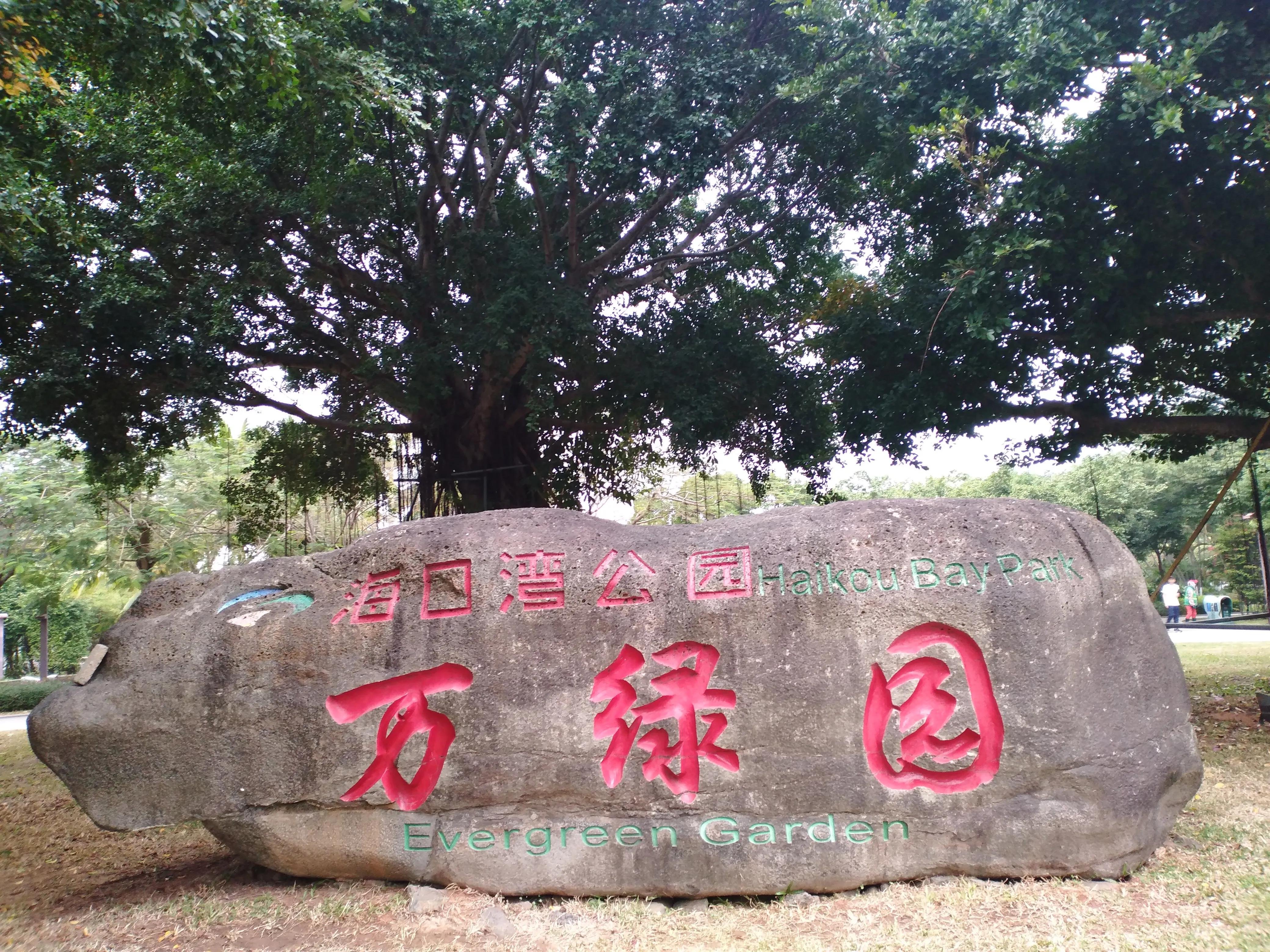 中国男足为什么参加不了世界杯,中国男足与亚洲强队