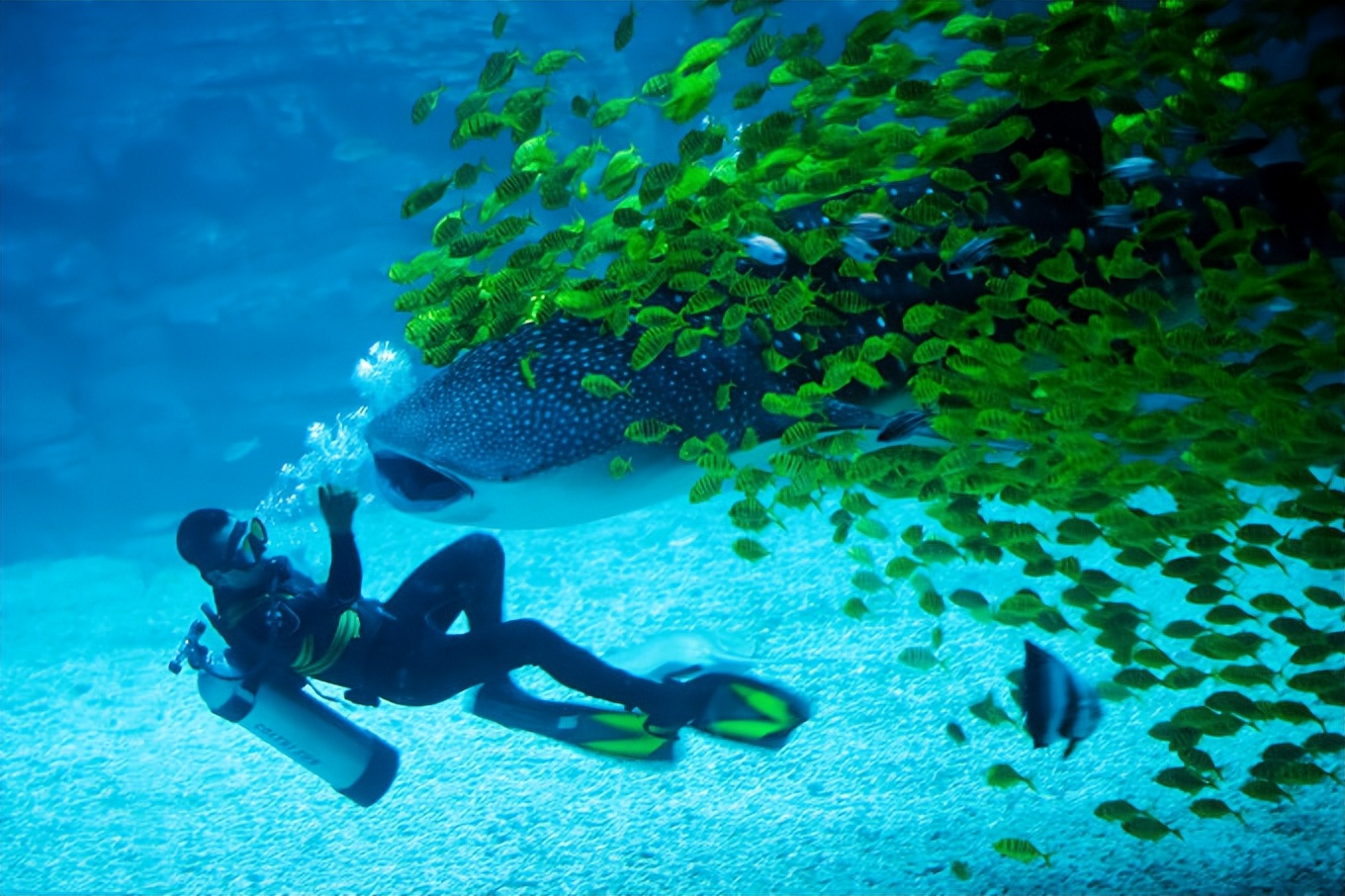 带孩子去烟台哪里玩,带孩子去烟台玩哪里比较好